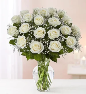 2 Dozen White Roses Arranged