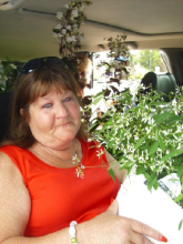 sharon mckinney