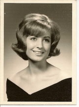 dixie cook
