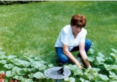 helen chappell
