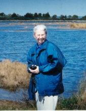 norma stevens