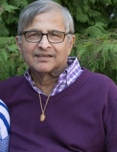 ignatius menezes