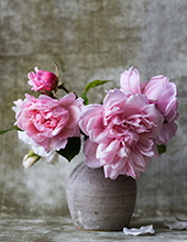 carol horne