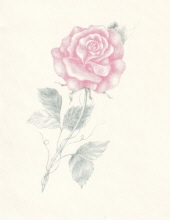 jean rose