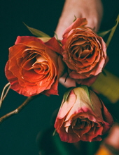 katherine eddy