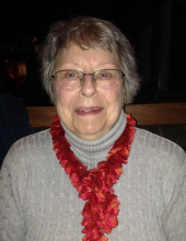 elizabeth amann