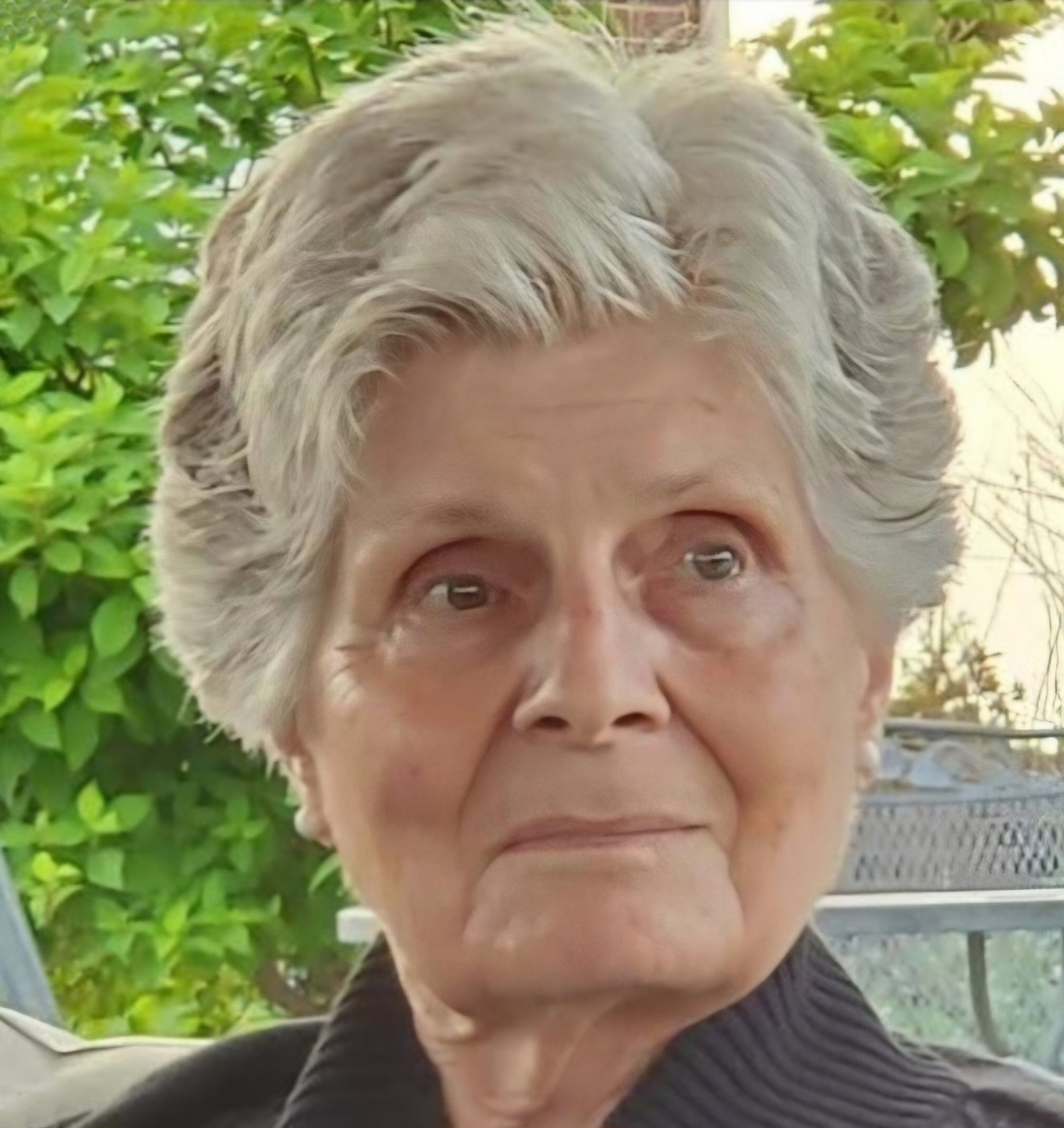 elaine meyer